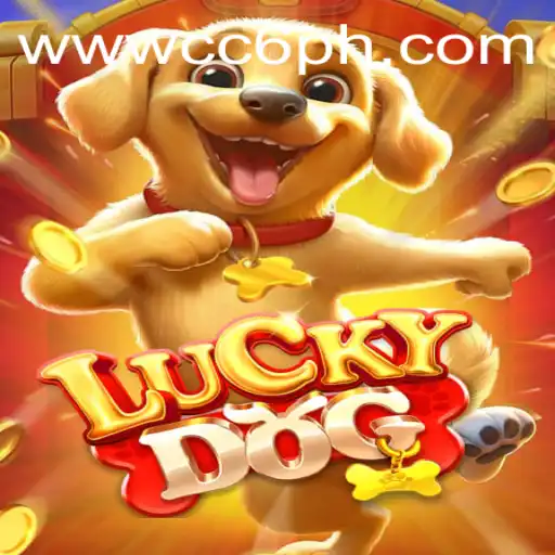 LuckyDog: Exploring the Thrilling World of CC6 Gaming